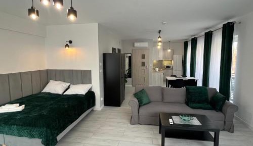 Studio Apartment