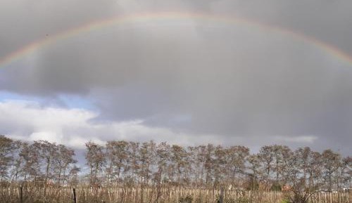 Quadruple Room with Terrace
