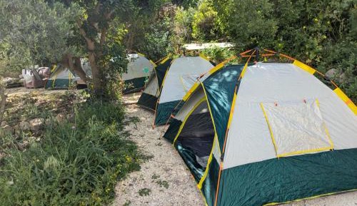 Tent