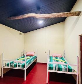 4-Bed Mixed Dormitory Room