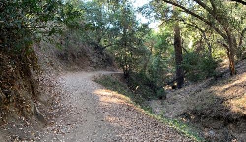 Single Room with Private Bathroom