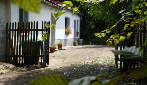One-Bedroom Apartment with Garden