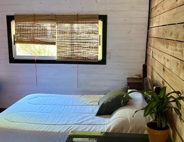 One-Bedroom Apartment with Park View