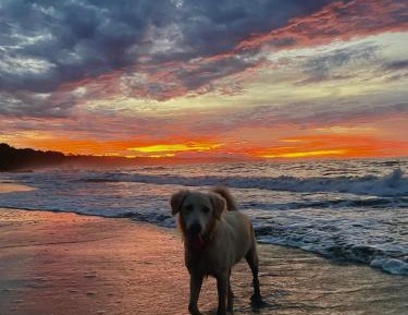 Standard Double Suite