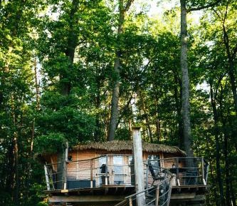Treehouse