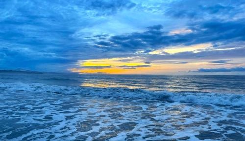 King Room with Garden View