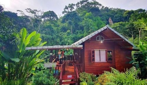 Double Room with Park View