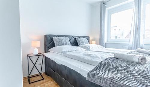 Deluxe One-Bedroom Apartment