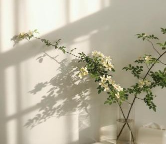 Double or Twin Room with Garden View