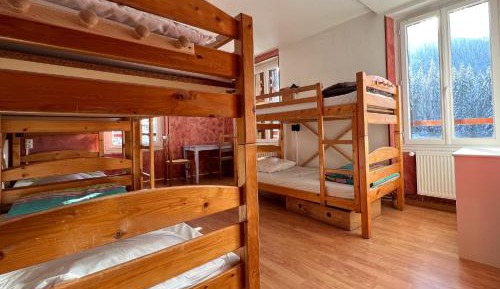 Single Bed in Mixed Dormitory Room