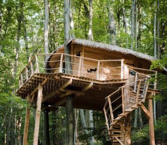 Treehouse