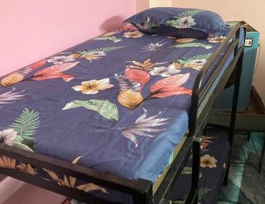 10-Bed Mixed Dormitory Room