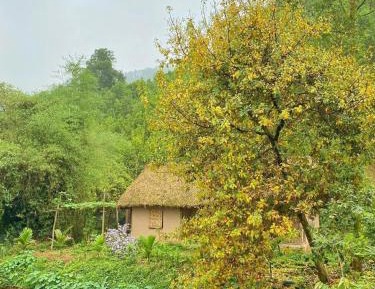 Bungalow - Water Front 
