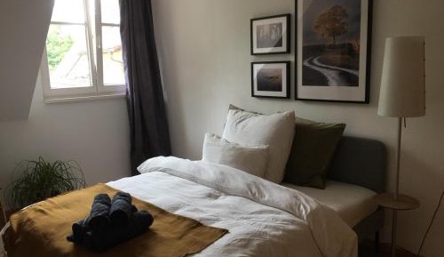 Superior Queen Room
