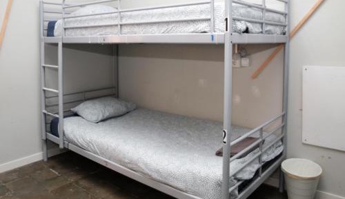 Bed in 6-Bed Mixed Dormitory Room