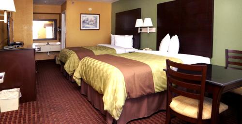 Queen Room with Two Queen Beds