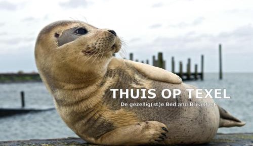 Double or Twin Room with Private Bathroom