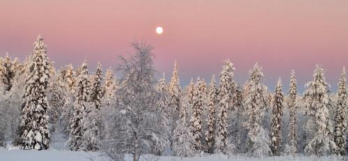 Standard Single Room with Sauna