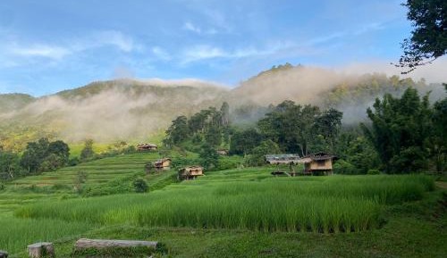 Cottage with Garden View
