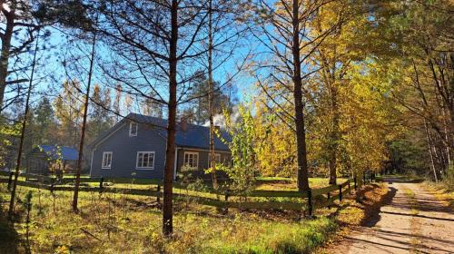 Two-Bedroom Apartment - Oceanfront 