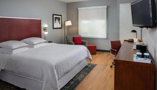 Business Room, Guest room, 1 King