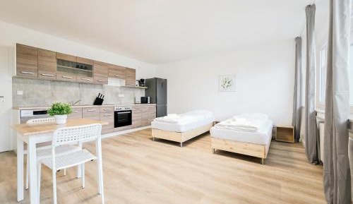 Studio Apartment with Balcony