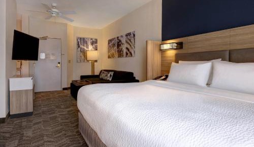 King Suite with Sofa Bed