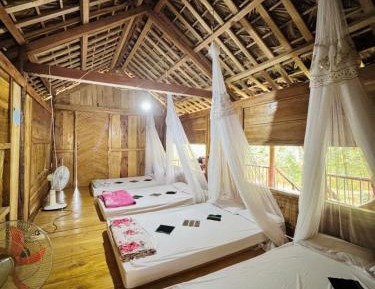 Bunk Bed in Mixed Dormitory Room