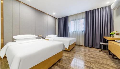 Superior Single Room