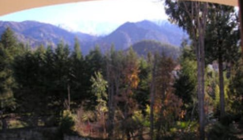 Superior One-Bedroom Apartment with Balcony