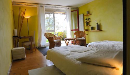 Superior Single Room