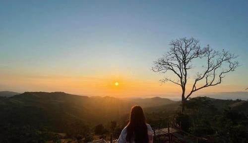 Queen Room with Garden View