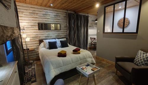 Studio with Sofa Bed