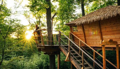 Treehouse