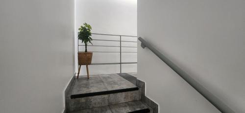 Double or Twin Room with Private Bathroom