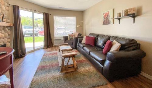 Deluxe One-Bedroom Apartment