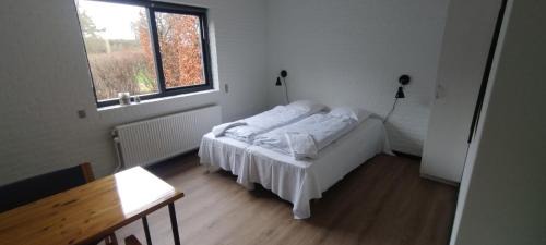 Twin Room with Shared Bathroom