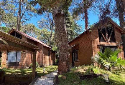 Bungalow (4 Adults)