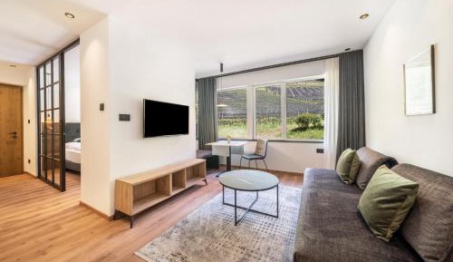 Superior One-Bedroom Apartment