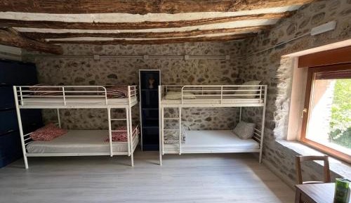 Single Bed in 10-Bed Dormitory Room