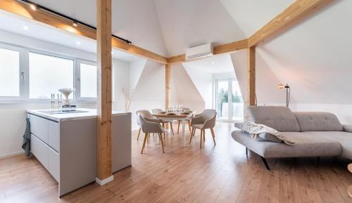 Three-Bedroom Superior Apartment