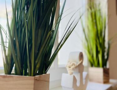 One-Bedroom Apartment with Terrace