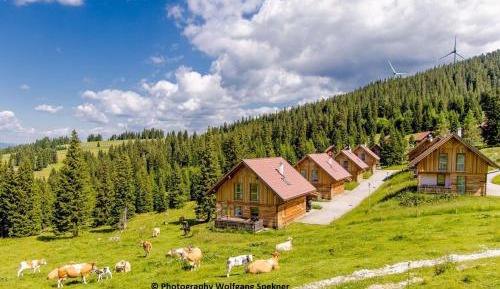 Two-Bedroom Holiday Home