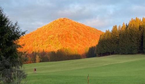 Deluxe Two-Bedroom Apartment with Garden View