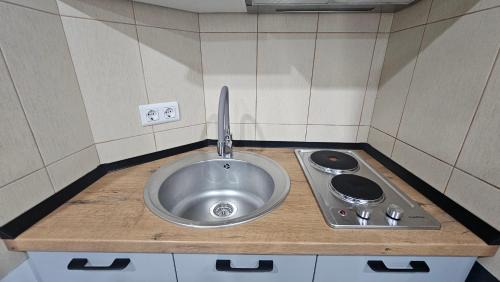 Studio with Mountain View