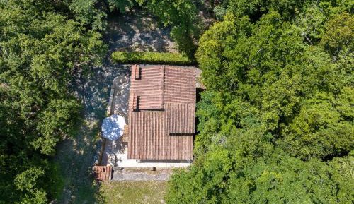 Villa with Garden View