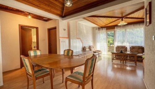 Two-Bedroom Apartment with Mountain View