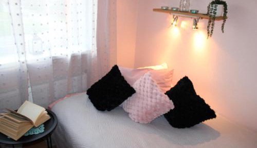 Studio with Sofa Bed