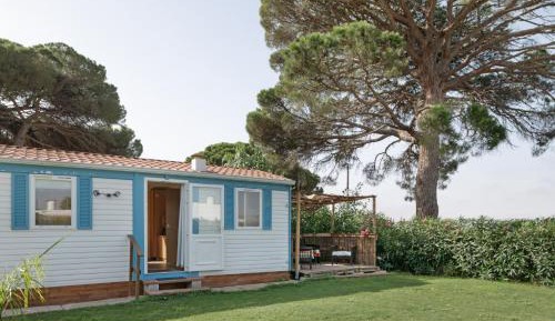 Mobile Home