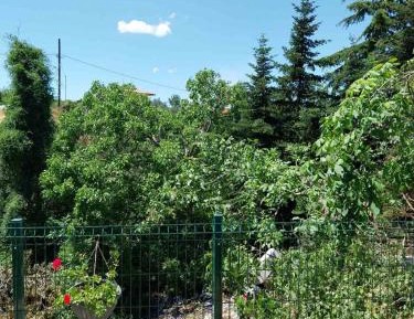 One-Bedroom Apartment with Garden